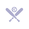 Baseball Icon
